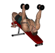 Triceps Extension - Decline Dumbbell